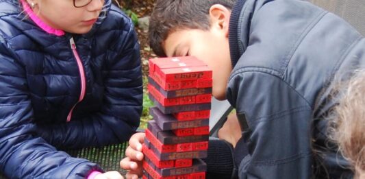 Thuisonderwijs voor beelddenkers- van achterstand naar kans!