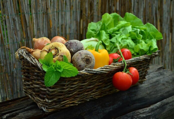 De meeste Nederlanders eten niet volgens de Schijf van Vijf