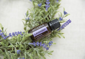 doterra lavender