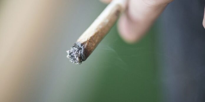 Gemiddelde THC-gehaltes hasj en wiet stabiel, maar spreiding is groot