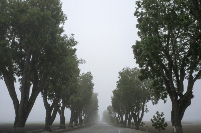 Op grote schaal (dichte) mist