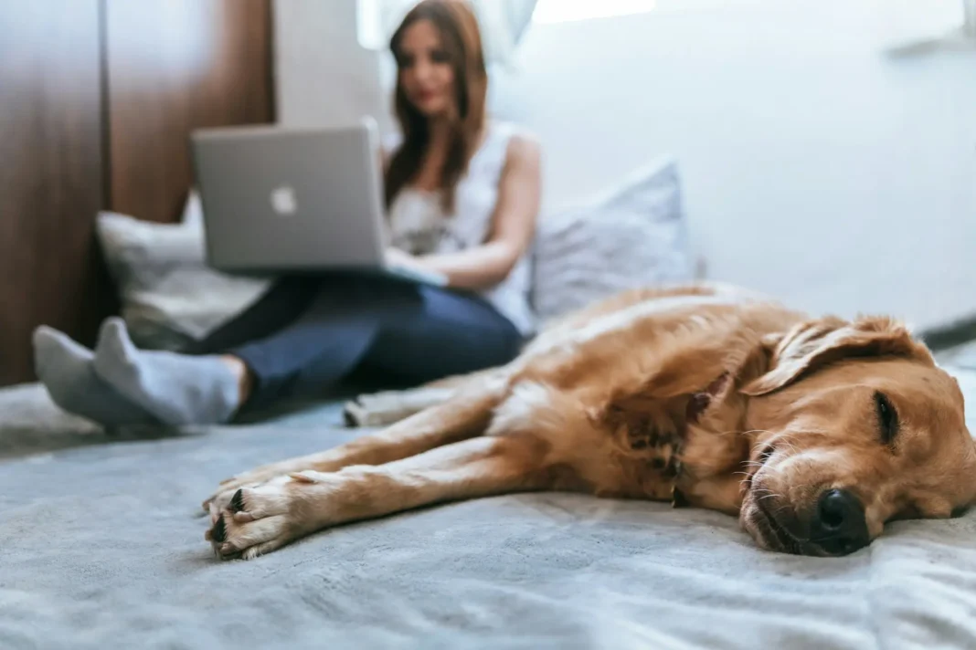 Wat zijn de meest voorkomende oorzaken van slecht timemanagement? Wat zijn de meest voorkomende oorzaken van slecht timemanagement?