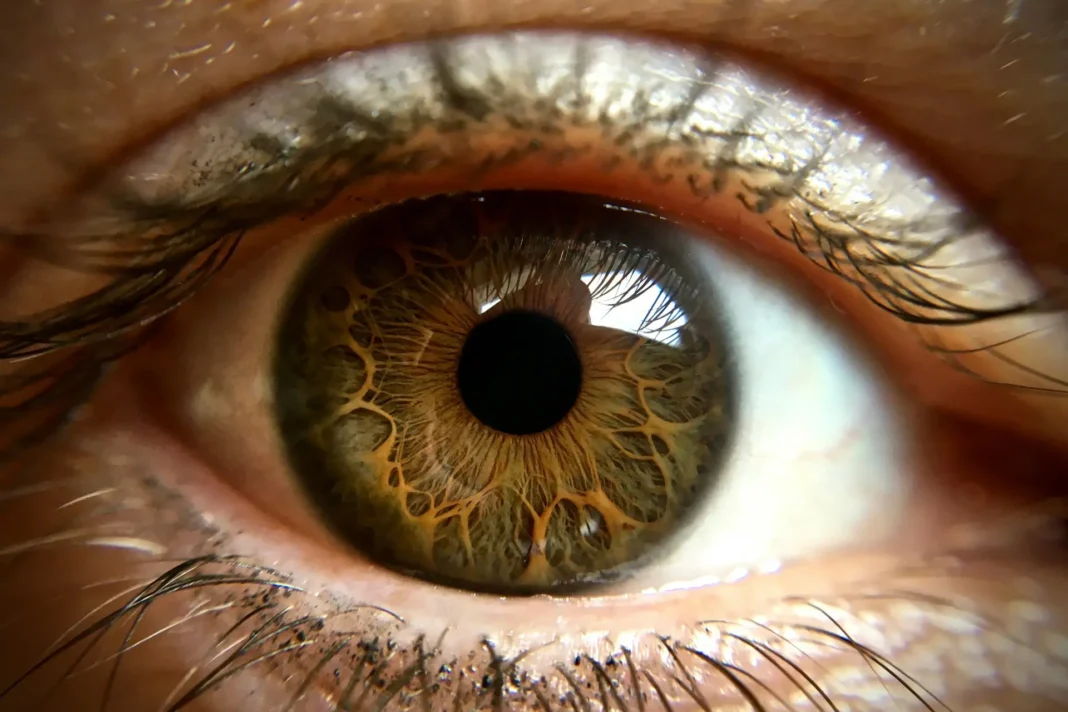 Wat is presbyopie? De natuurlijke veroudering van je ogen uitgelegd