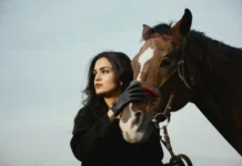 10 lessen die paarden ons leren over heling 10 lessen die paarden ons leren over heling