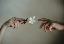 De kunst van aanraking – waarom huidcontact ons zenuwstelsel diepe rust geeft De kunst van aanraking – waarom huidcontact ons zenuwstelsel diepe rust geeft