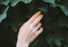 Mooie handen met natuurlijke ingrediënten: zo verzorg je ze écht Mooie handen met natuurlijke ingrediënten: zo verzorg je ze écht